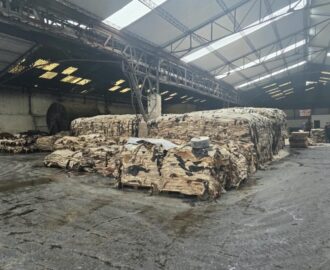 Salted Hides & Skins